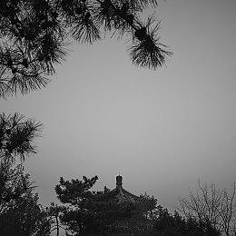 “逆城市”建设类游戏《伊始之地》Switch版推出